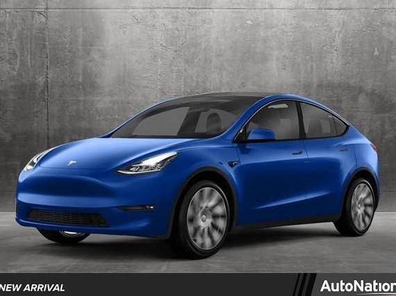 TESLA MODEL Y 2021 5YJYGDEE6MF244866 image
